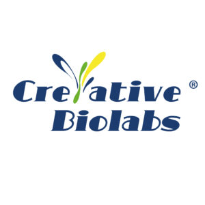 Creative Biolabs Expands circRNA and Nucleic Acid Analysis Platforms as Demand Surges in Gene Therapy Research
