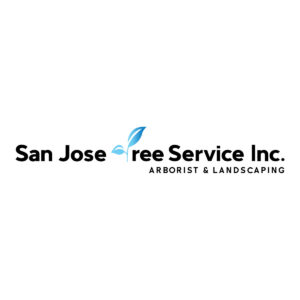 San Jose Tree Service & Landscaping Highlights Growing Demand for Landscape Contractor Expertise