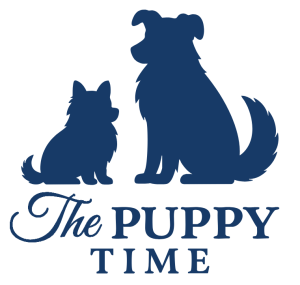 The Puppy Time Launches in Chicagoland — Bringing Puppy Therapy to Workplaces for Employee Well-Being Days