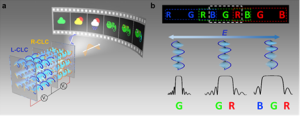Soft chiral superstructure enabled dynamic polychromatic holography