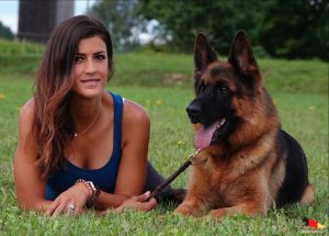 Haus Amberg Shepherds: Setting the Standard in German Shepherd Excellence