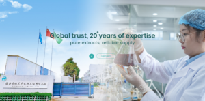 Top 5 ODM Organic Superfood Powder Suppliers to Watch Ahead of the HNC 2026 Exhibition