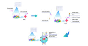 Multiplex Assay Technology Accelerates High-Throughput Cytokine Profiling for Precision Medicine Research