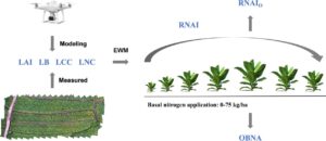Drones guide smarter nitrogen use in tobacco fields