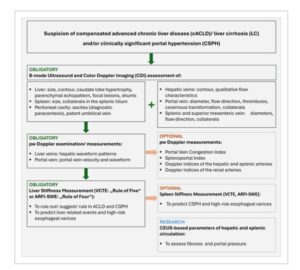 Chinese Medical Association Publishing House Co., Ltd Sheds Light on New Noninvasive Clues to Detect Portal Hypertension