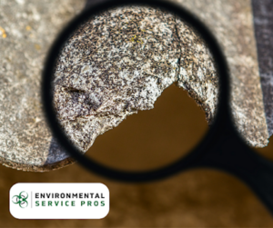 Environmental Service Pros Emphasizes Critical Role of Professional Mold Testing in Property Health Assessment