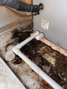 RestoPros of New Orleans Reveals How to Find Hidden Mold Growth in Homes