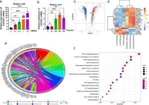 From gut to lung: A microbial signal that strengthens early immune defense