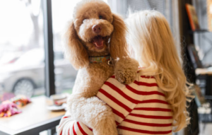 DomiTail Unveils Advanced Formulas Designed to Support Long-Term Dog Vitality